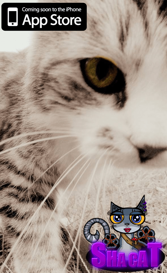 Please like my Game on Facebook