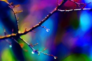 color