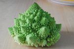 flowergeometry